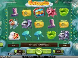 live casino house thailand vs
